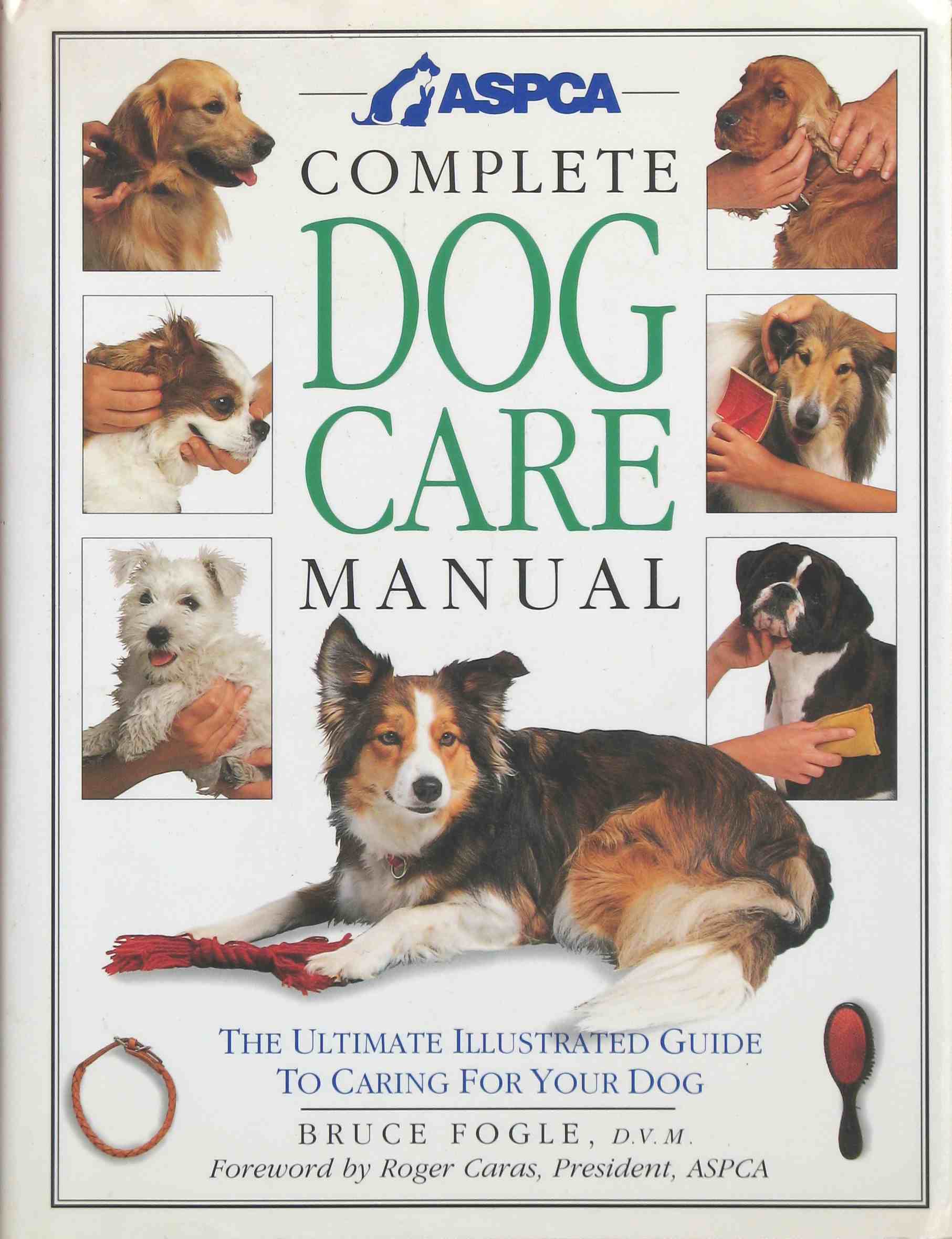 dog book.jpg