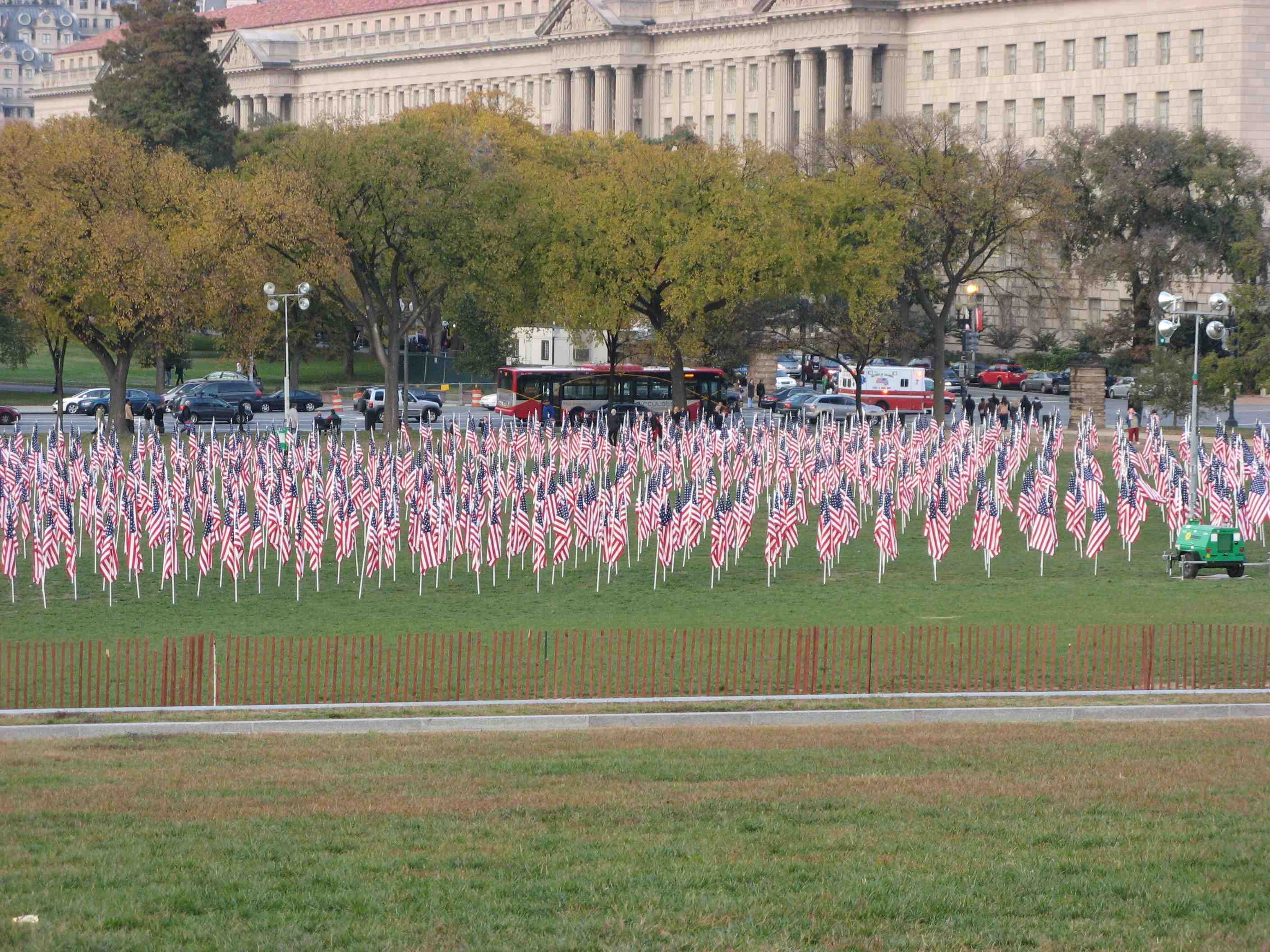 Lots of flags.jpg