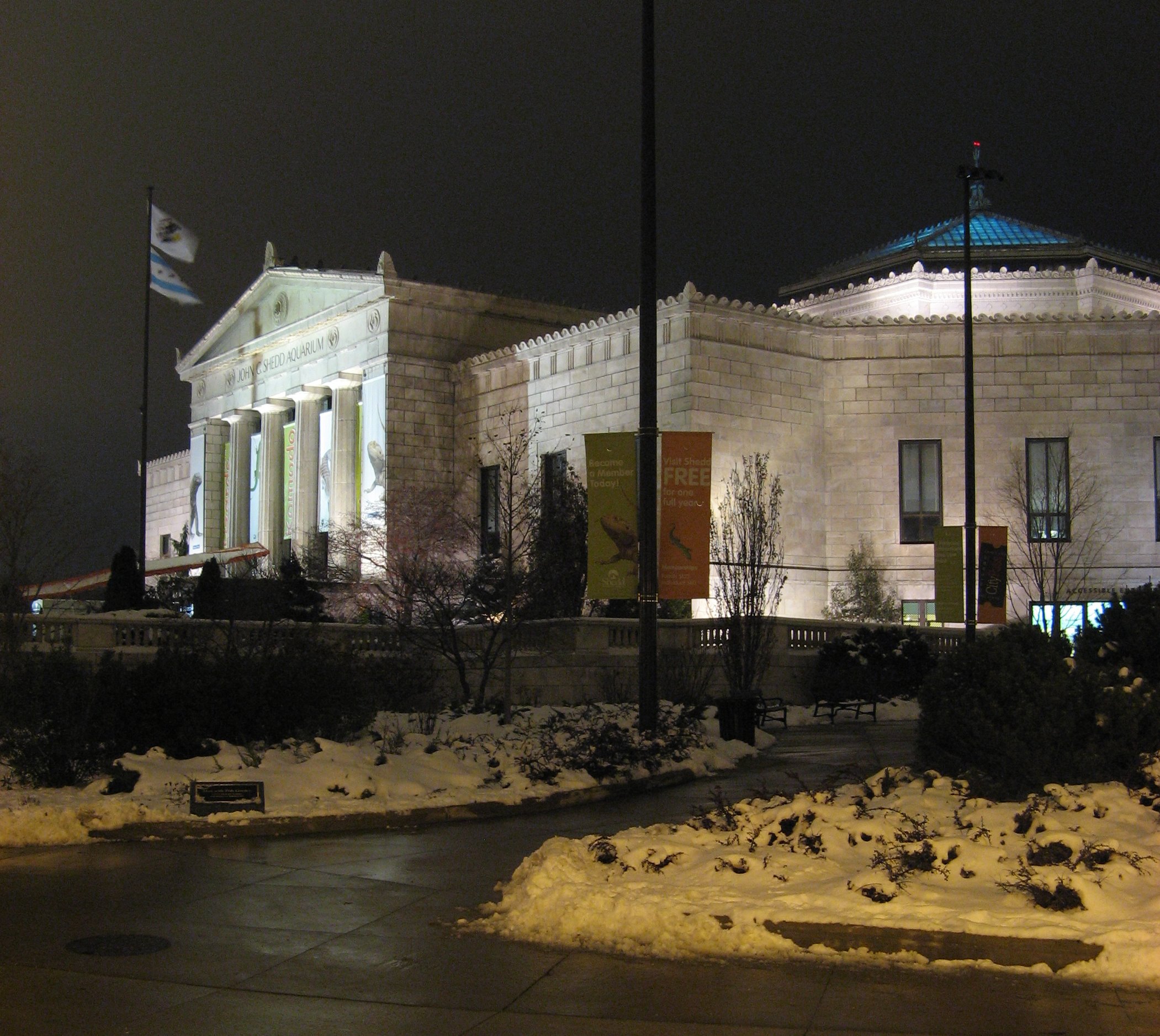 Shedd at Night.jpg