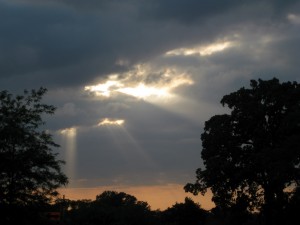 sunbeams barnes hospital