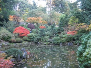 lush garden scene