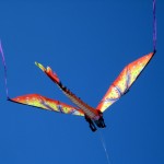 kite