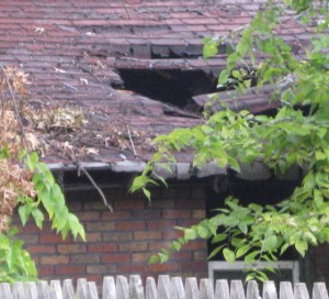 Big hole in neighbor's roof