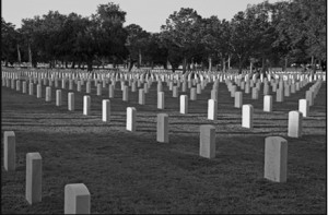 military cemetery feature sized B and w