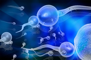 sperm wars from Dreamstime