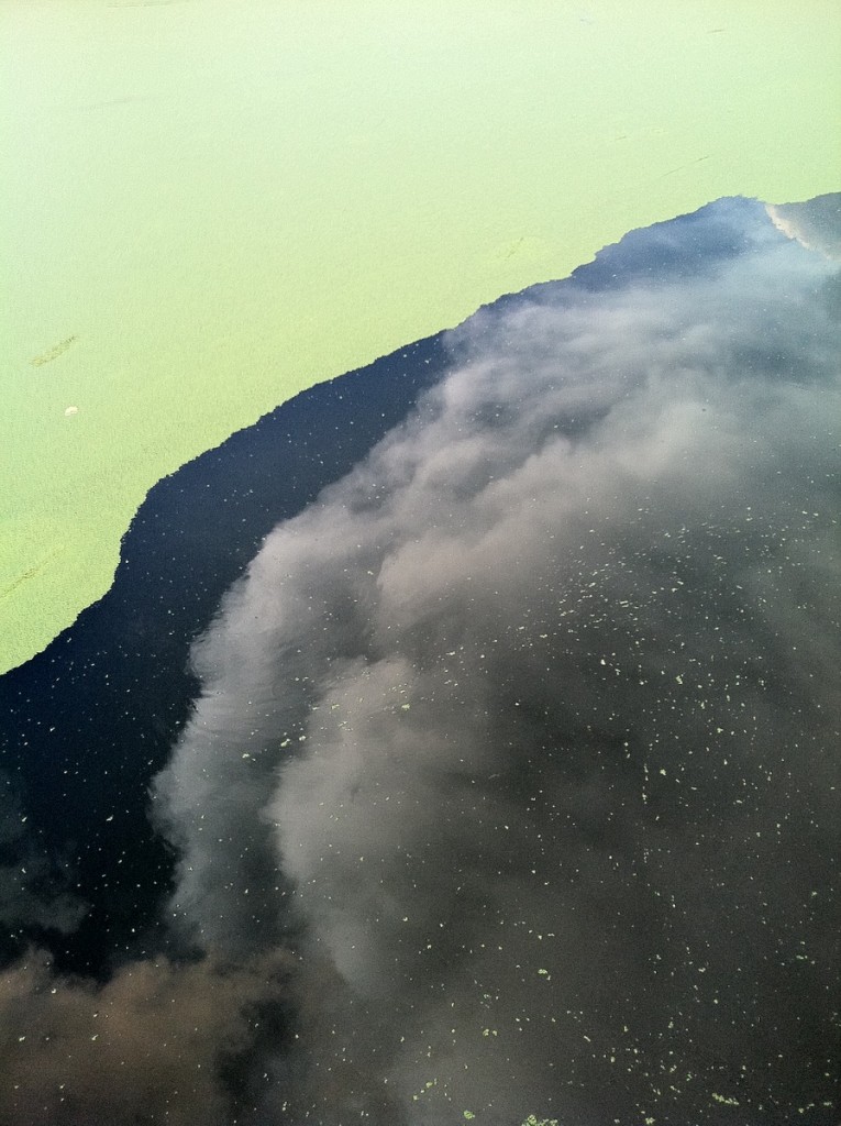 Reflection in pond