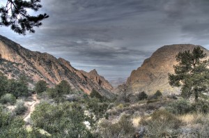 IMG_9160_1_2_tonemapped - low res