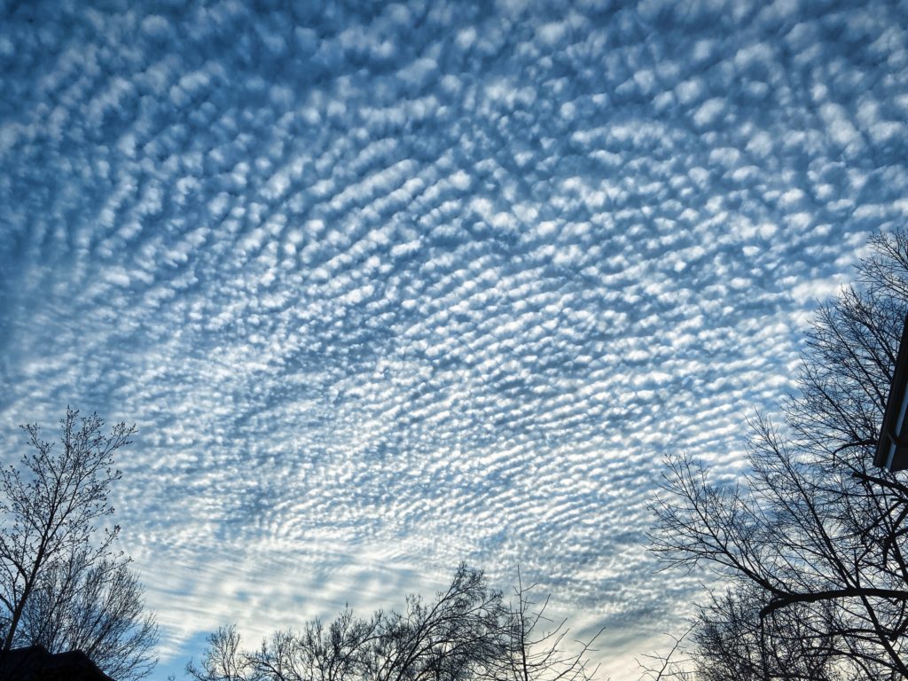 IMG 3801 Dappled Sky lo res 2500