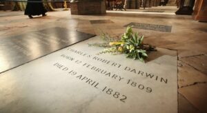 Read more about the article Why did they bury Darwin in Westminster Abbey?