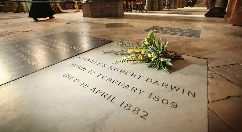 You are currently viewing Why did they bury Darwin in Westminster Abbey?