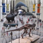 Field Museum HDR